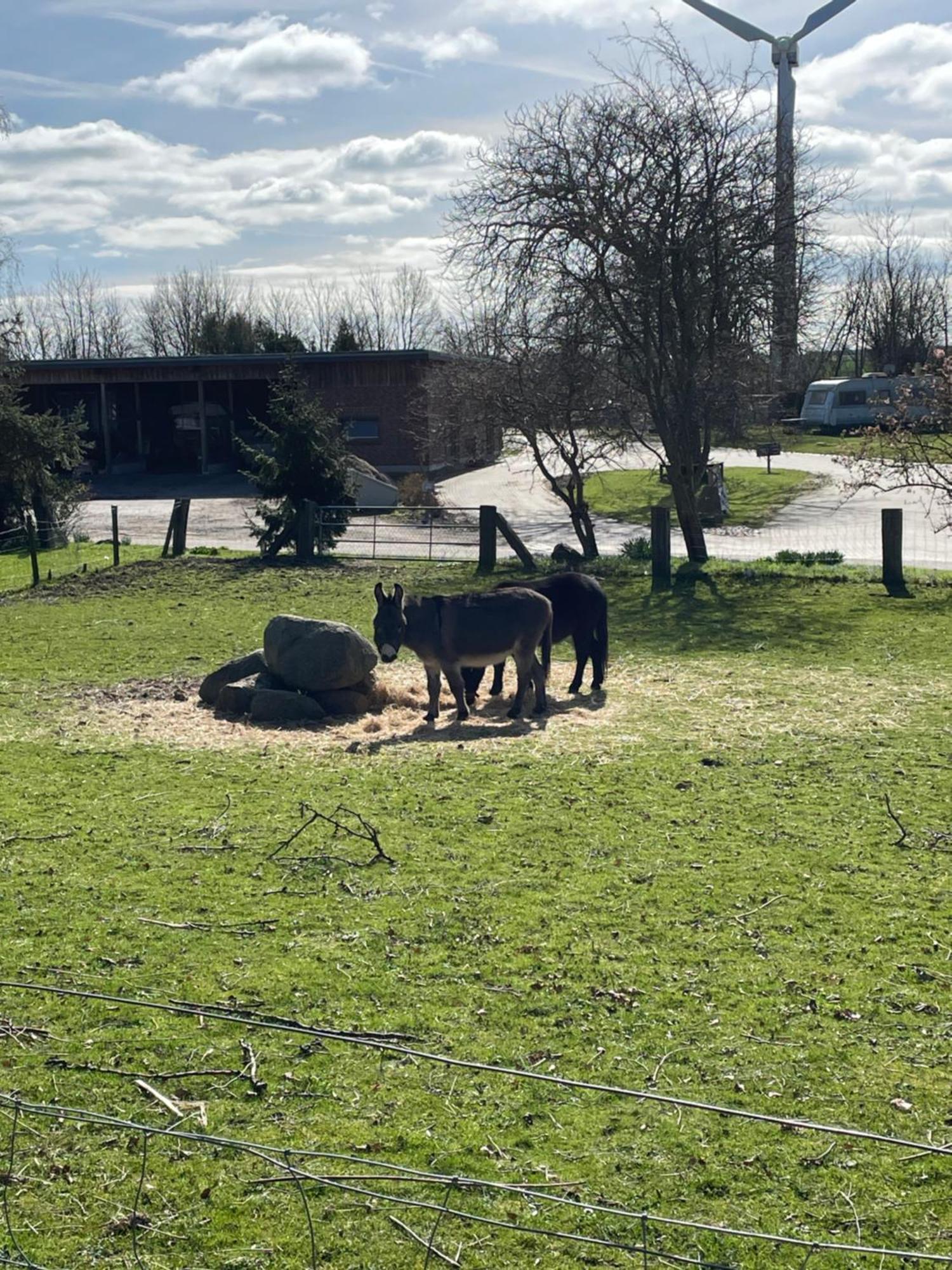 Beltblick Daire Fehmarn Dış mekan fotoğraf