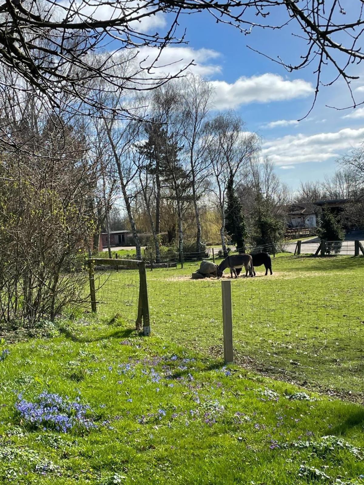 Beltblick Daire Fehmarn Dış mekan fotoğraf