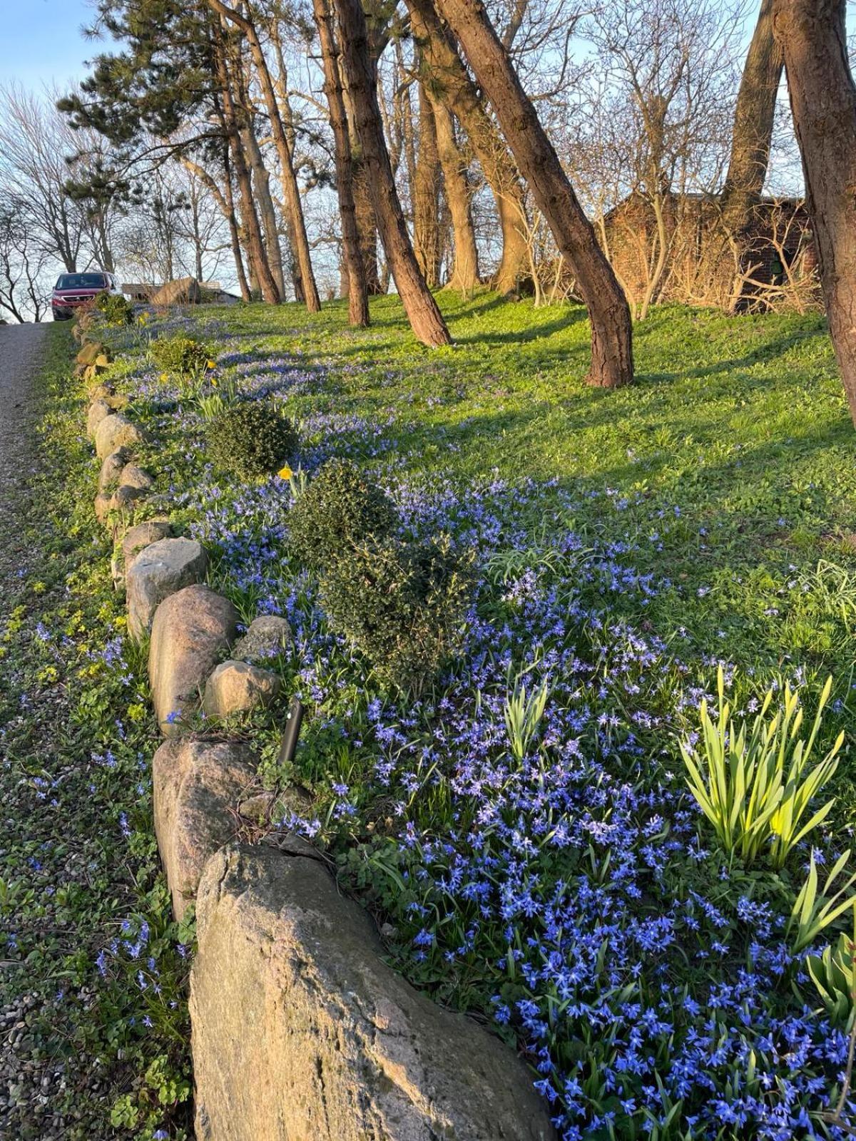 Beltblick Daire Fehmarn Dış mekan fotoğraf