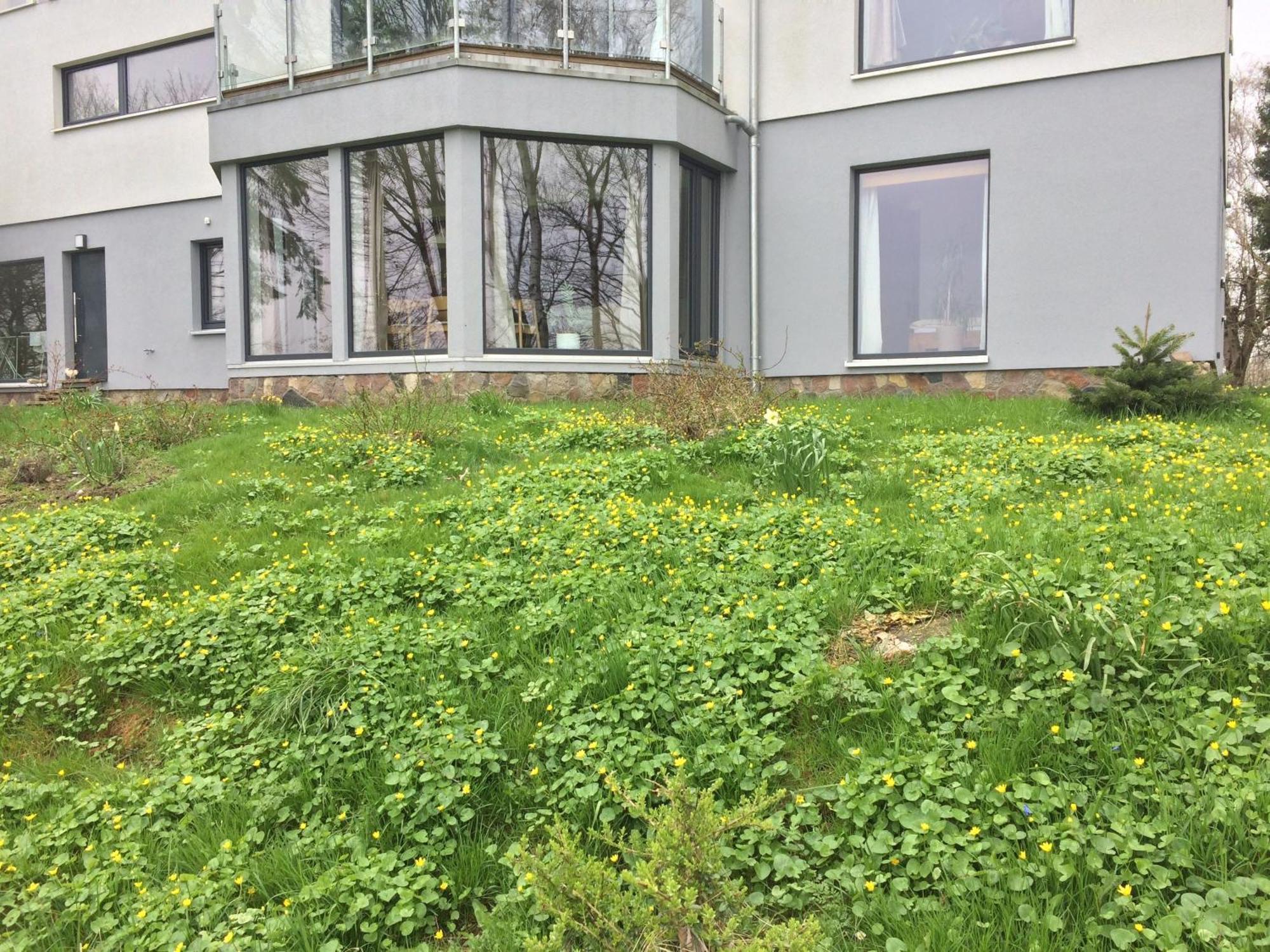 Beltblick Daire Fehmarn Dış mekan fotoğraf