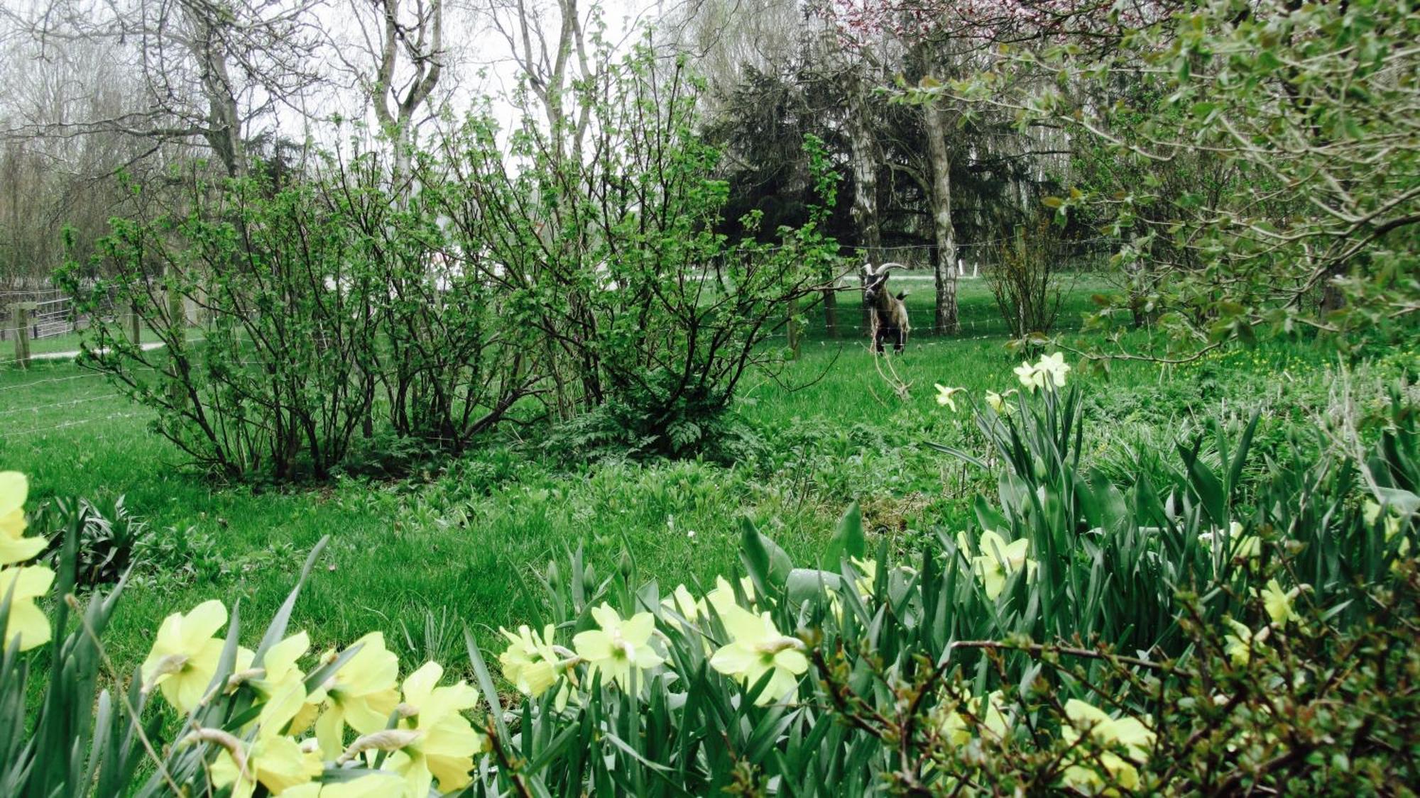 Beltblick Daire Fehmarn Dış mekan fotoğraf