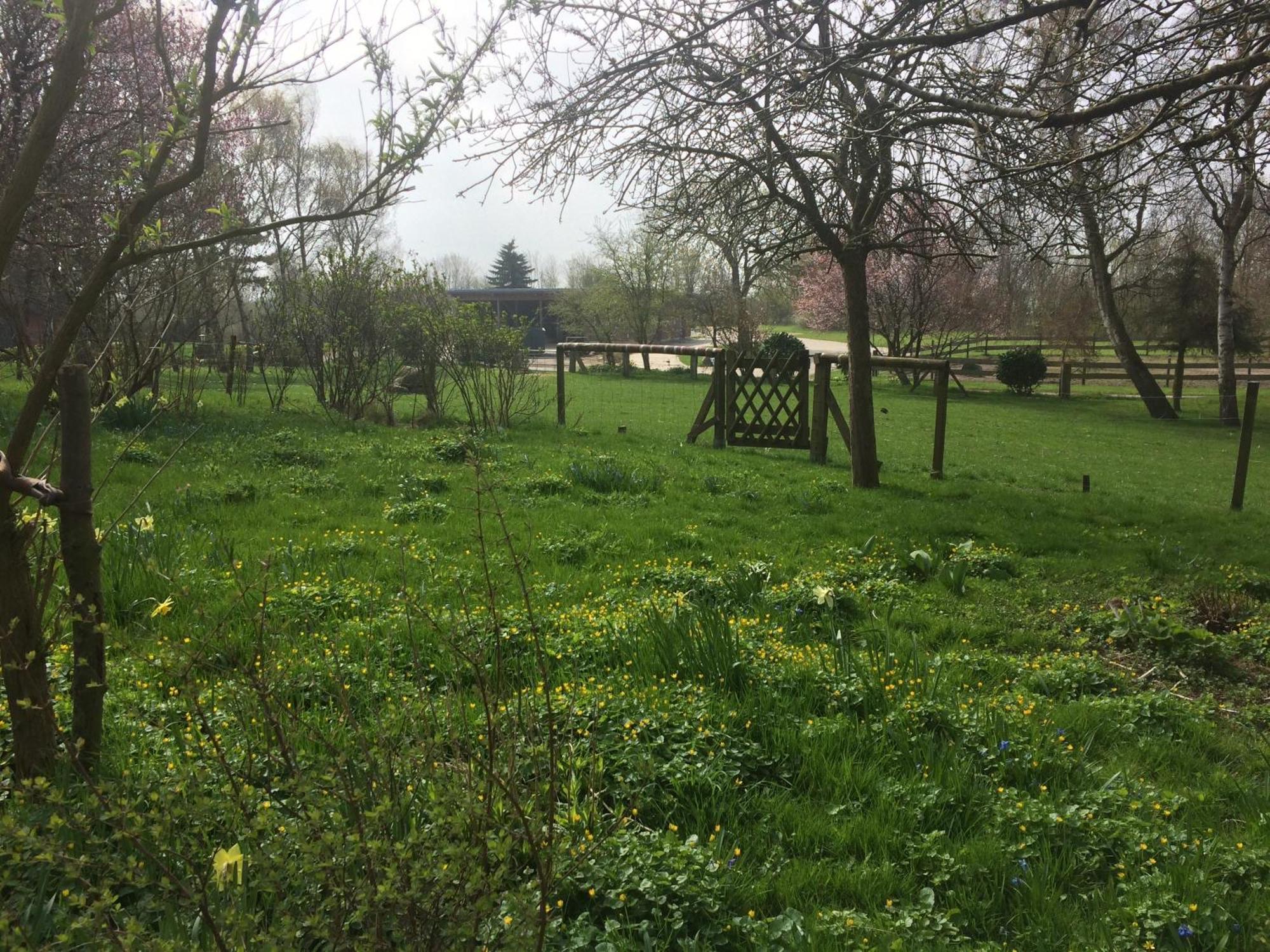 Beltblick Daire Fehmarn Dış mekan fotoğraf